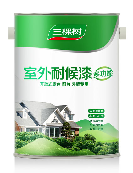 室外多功能耐候墙面漆5L
